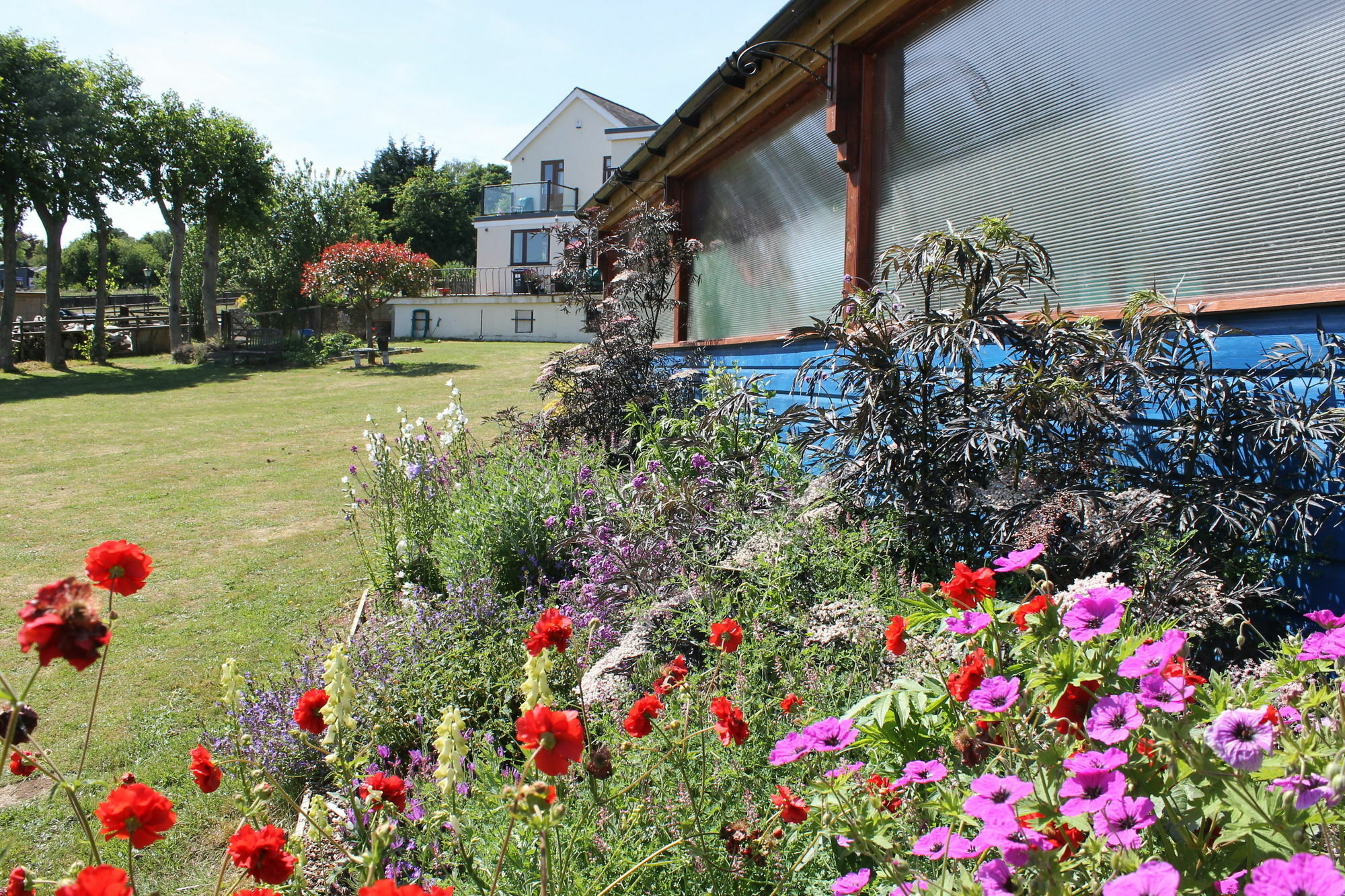 Homelea Bed And Breakfast Canterbury Exterior photo